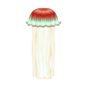 Red Striped Jellyfish